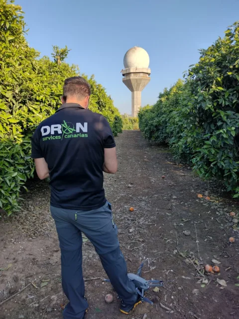 Operador de Dron Services Canarias, de espaldas con el logo en la camiseta, pilotando entre hileras de árboles con un radar al fondo